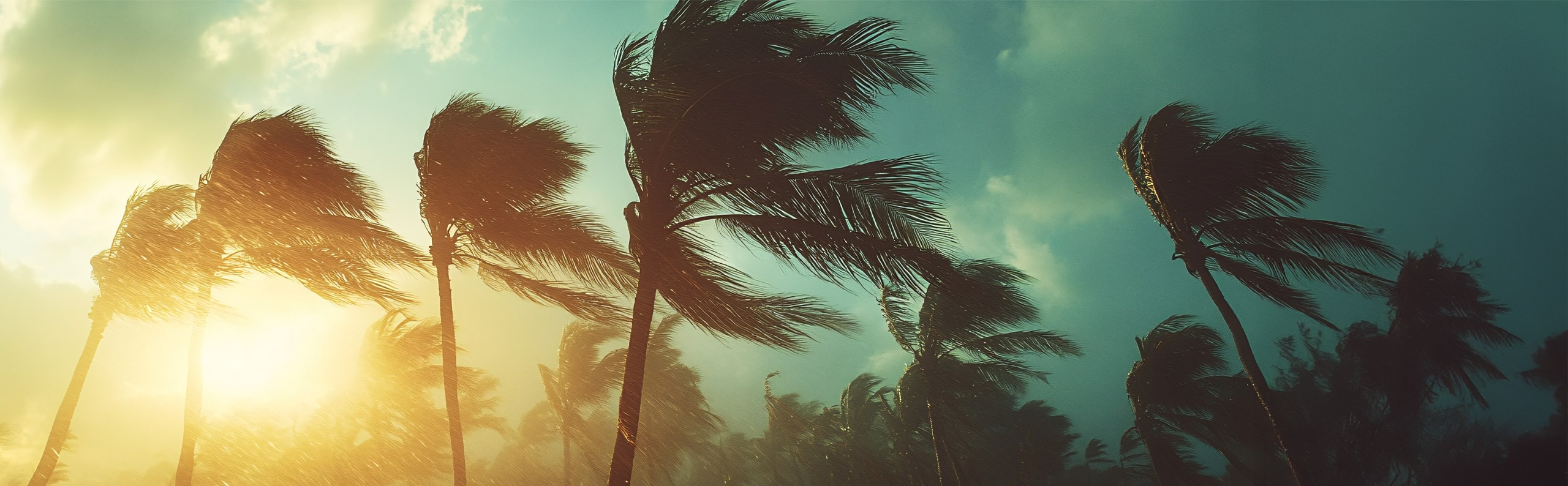 https://22537894.fs1.hubspotusercontent-na1.net/hubfs/22537894/MUL_BlogImage_StormReady_2025.jpg